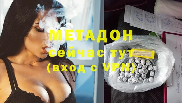 PSILOCYBIN Чегем